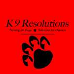 K9 Resolutions