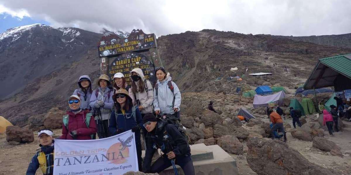 Kilimanjaro Tanzania Tours – A Life-Changing Trek to Africa’s Highest Peak