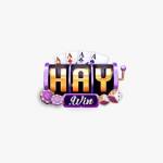 Haywin 1innet