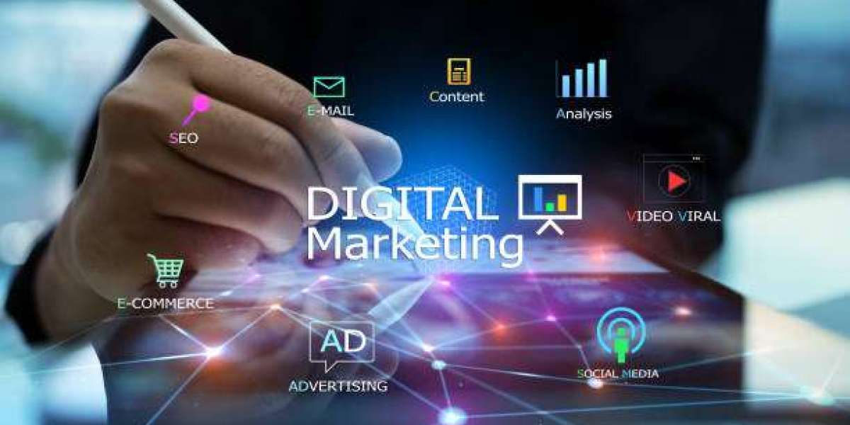 Increase Online Sales with a Professional E Commerce SEO Agency in New Zealand