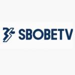 sbobetv com