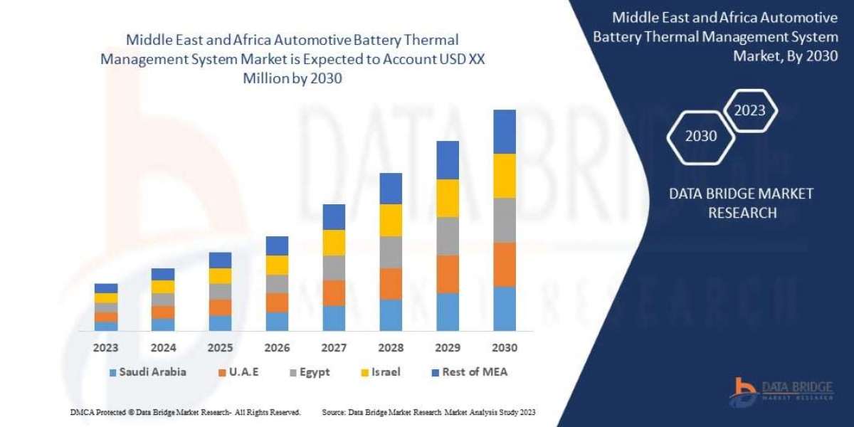 Middle East and Africa Automotive Battery Thermal Management System Market Industry Outlook and Revenue Forecast Analysi