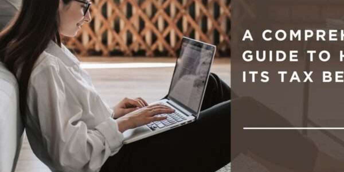 Why Startups Need a Professional Accounting Firm in Ahmedabad