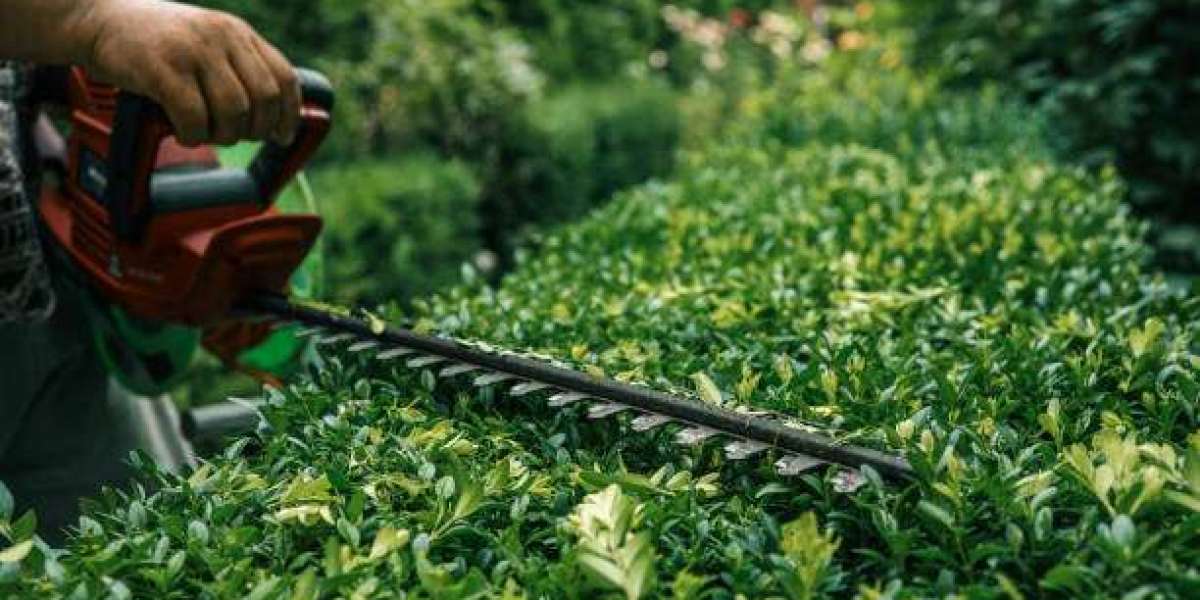 The ROI of Premium Commercial Hardscaping Services