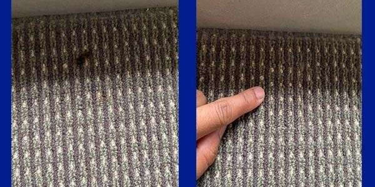 Carpet Restoration in Sunshine Coast for Long-Lasting Carpet Care