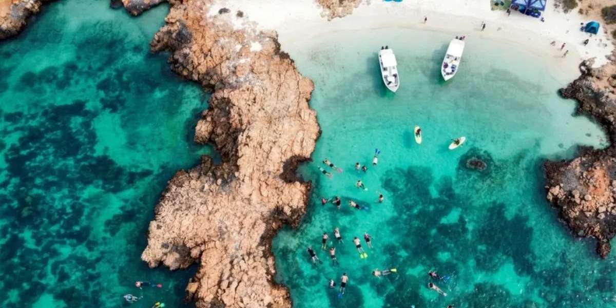 Affordable Half Day Snorkeling Tours Today