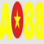 Nền tảng giải trí ao88casa