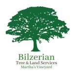 Bilzerian Tree