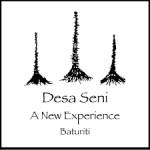 desa seni