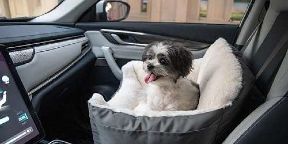 Pet Car Seat Market Growth Analysis and Future Outlook 2026-2036