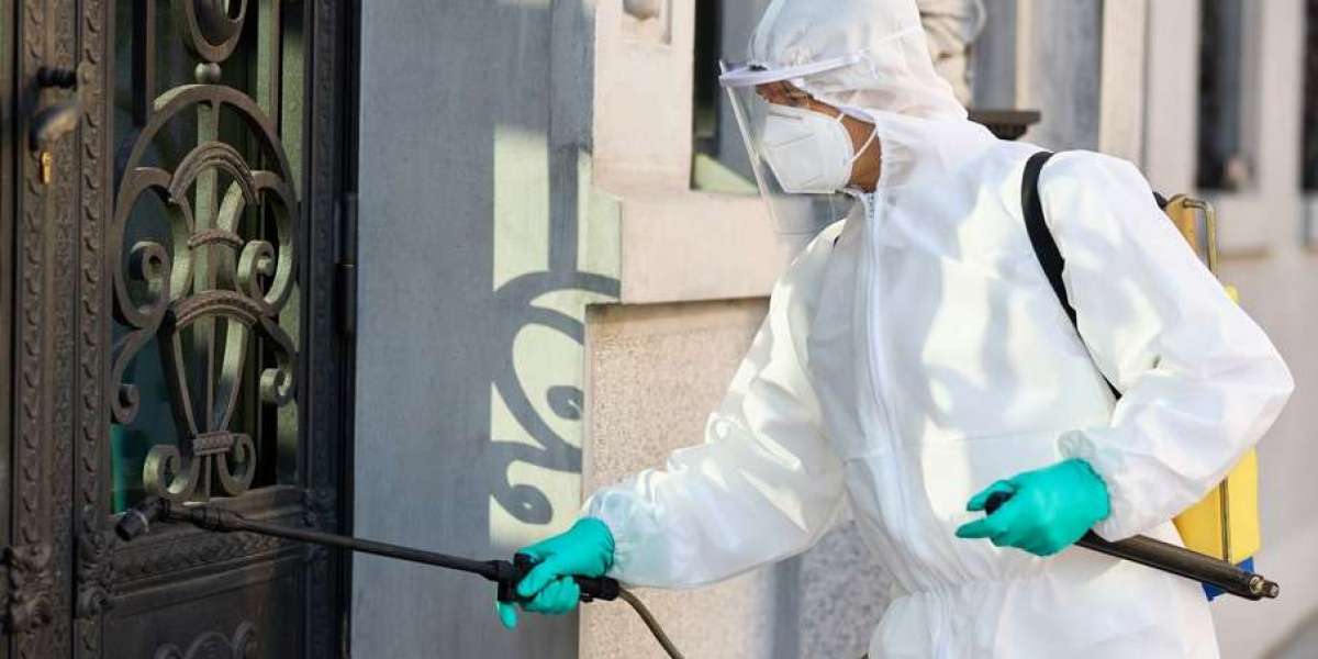 Pest Removal Near Me: Trusted Pest Control Experts in Singapore