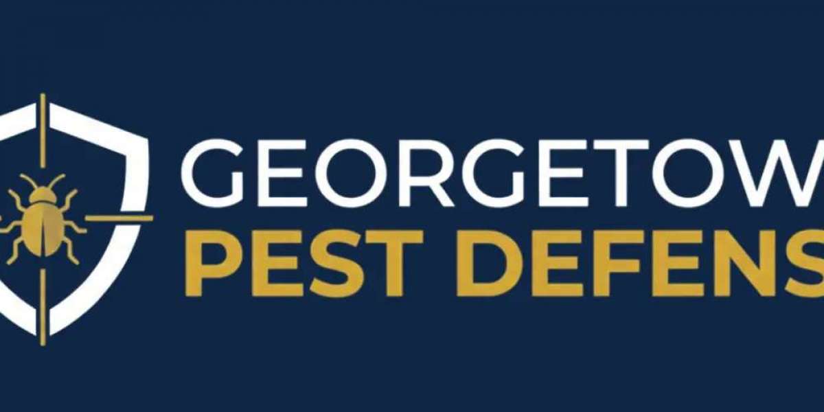 Protecting Properties from Common Infestations with Smart Strategies