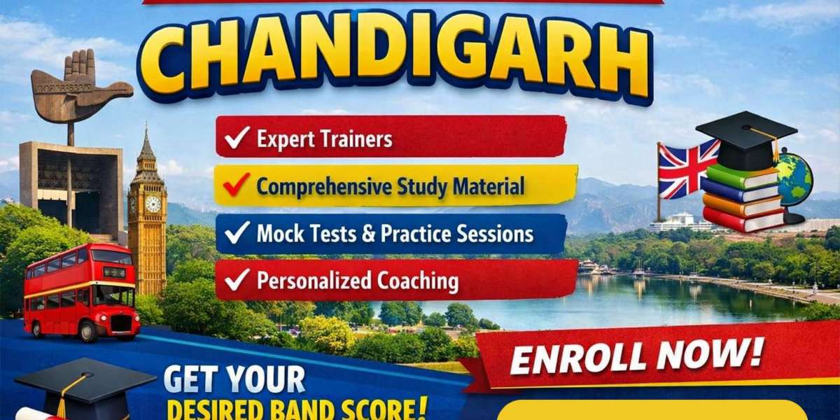 Prepare for International Education and Career Success