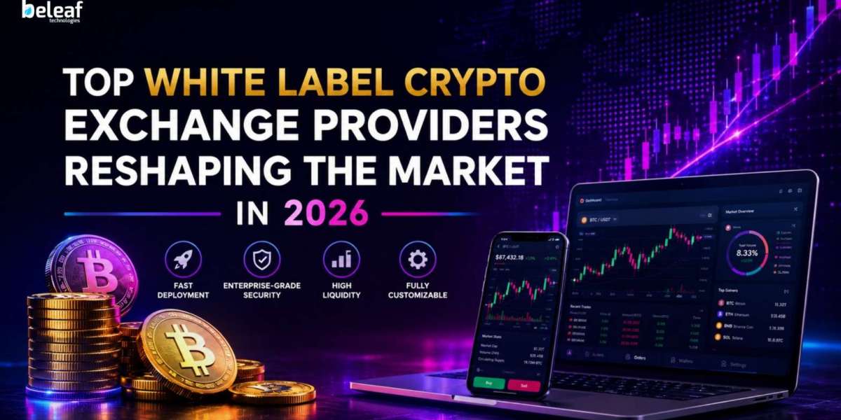 Top White Label Crypto Exchange Providers Shaping the Market in 2026