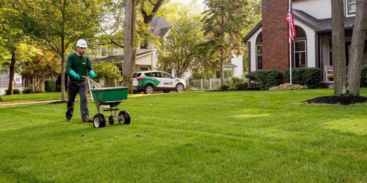Lawn Care and Maintenance Services in Dallas TX – Professional Lawn Experts