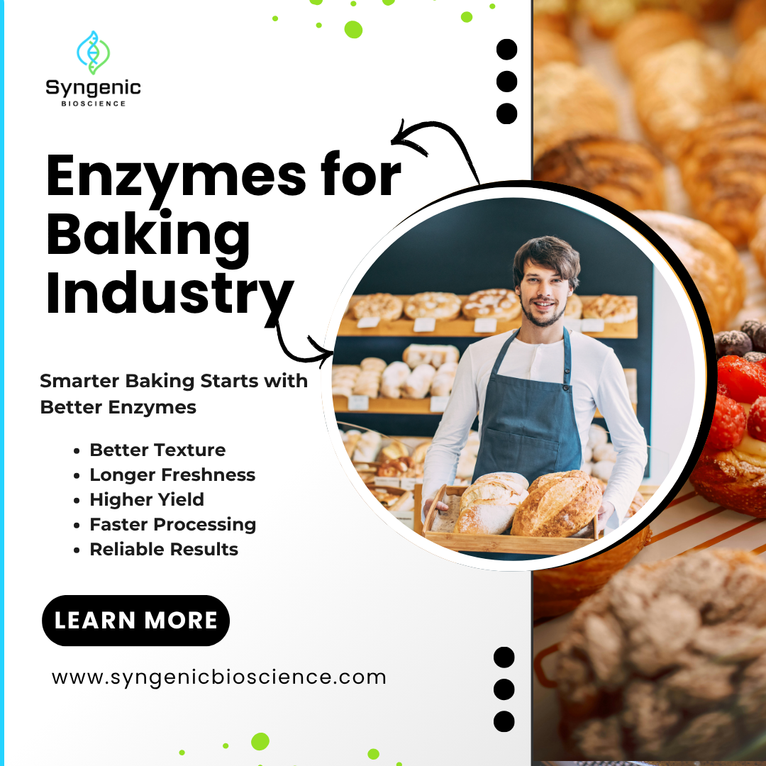 Enzymes for Baking Industry: Types & Benefits for Commercial Baking in India