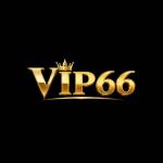 vip66casa