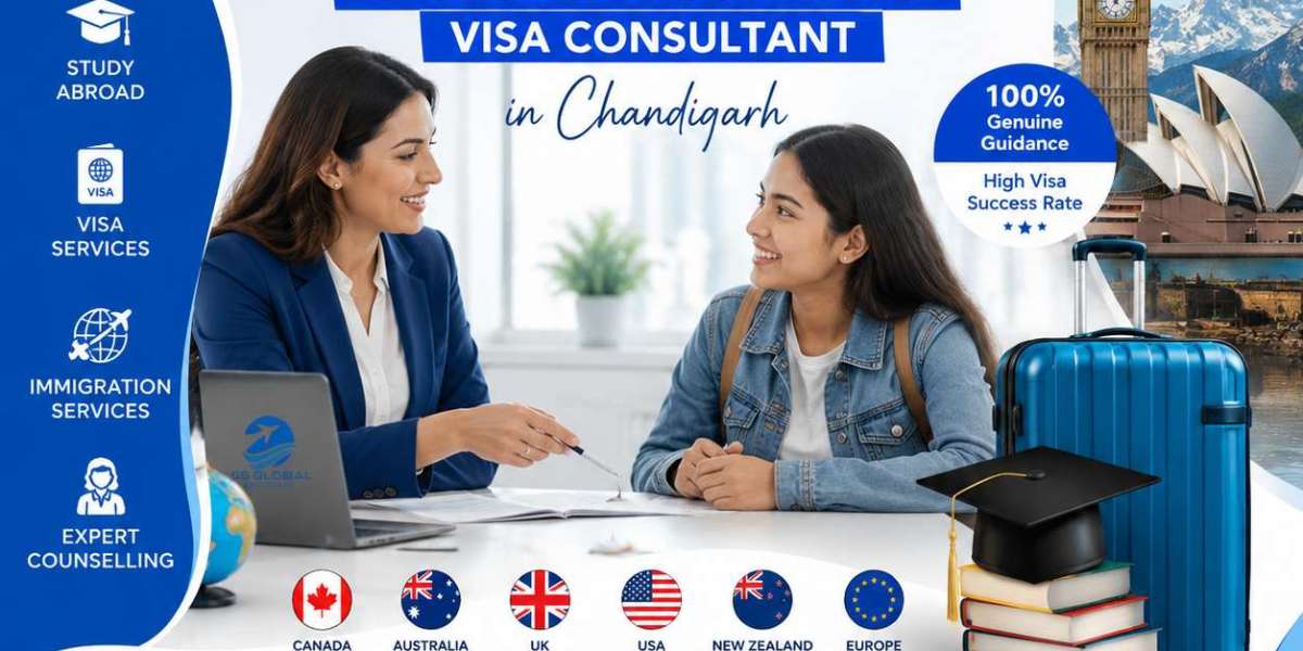 Immigration Consultant Near Me