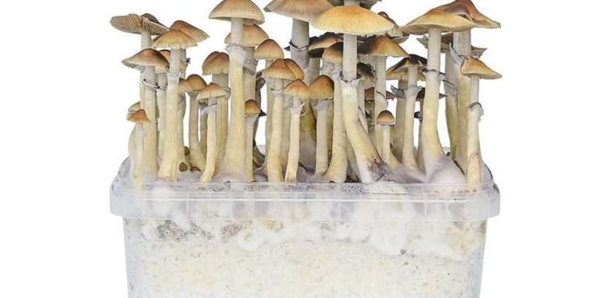Buy Psychedelics Australia
