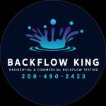 backflow king