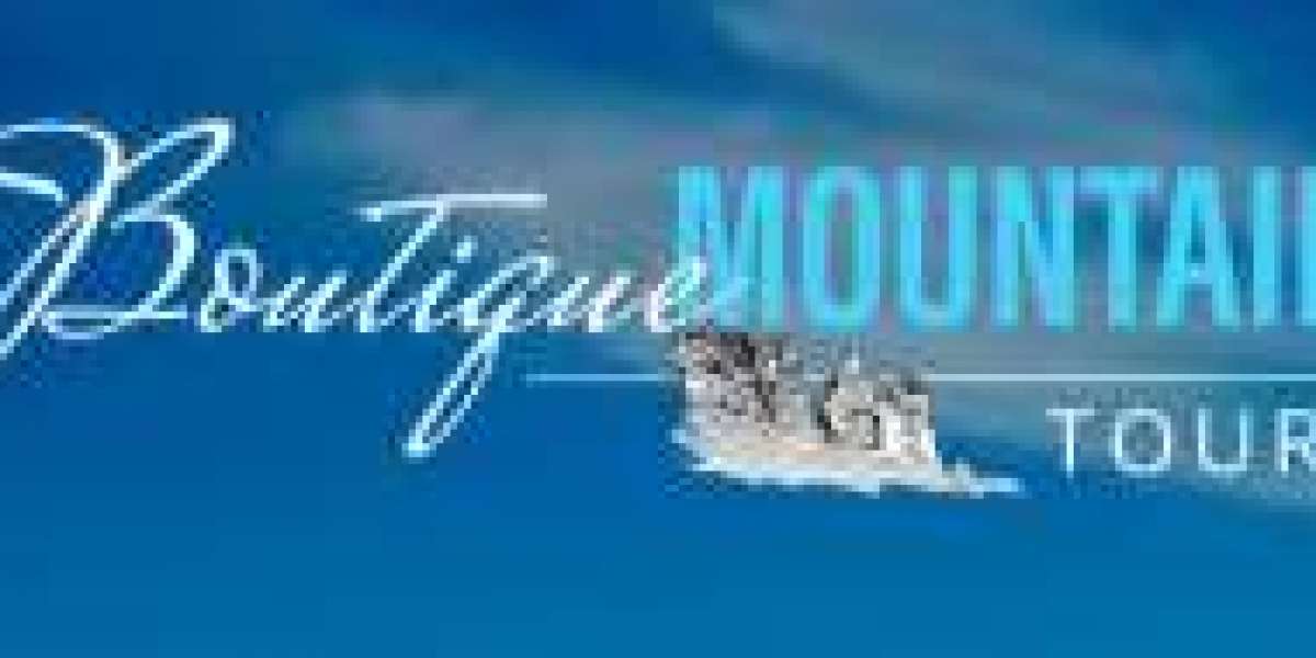 Discover the Best Wildlife Tours Sydney and Blue Mountains Small Group Tours