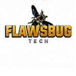 Flaws Bug Tech