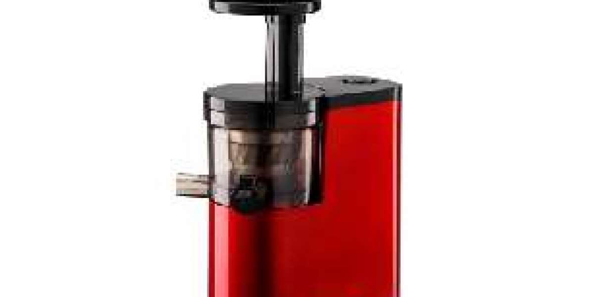 Wholesale Slow Juicer Equipment Supporting Global Kitchen Markets