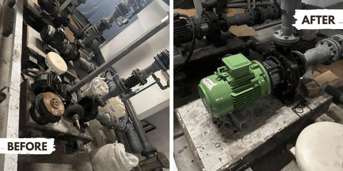 Swimming Pool Construction and Pump Servicing in Singapore: What Every Owner Should Know