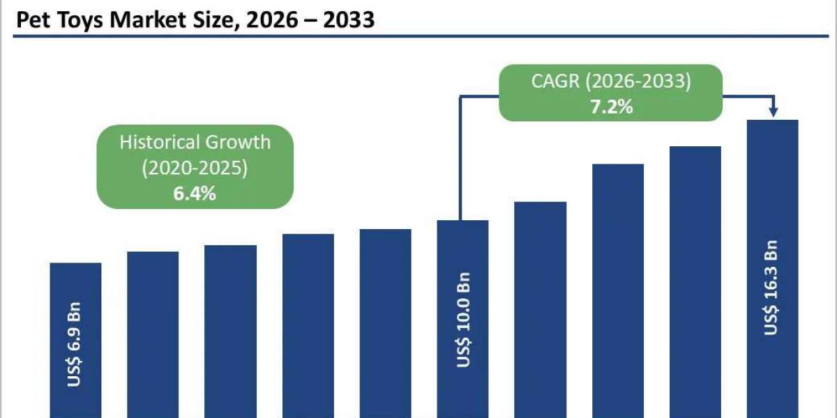 Pet Toys Market Demand Analysis and Future Opportunities