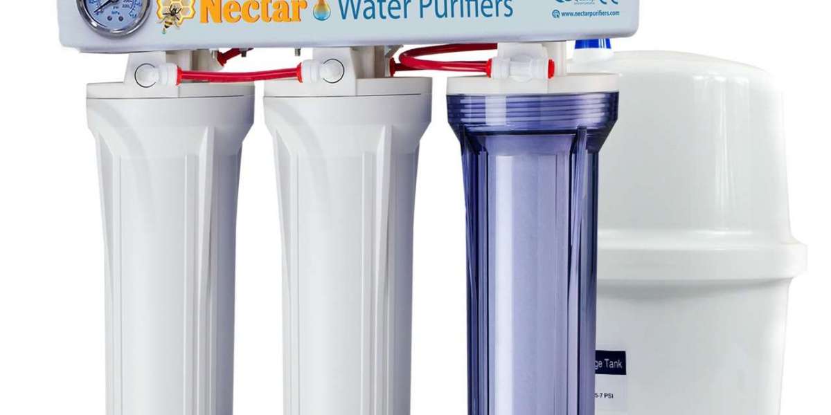 Why More Dubai Families Are Choosing Water Purifiers