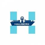 Hauberk global