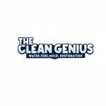 The Clean Genius