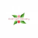 Overnight Delivery
