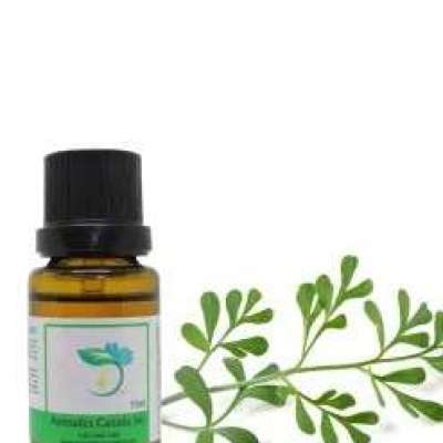 Rue Essential Oil Profile Picture