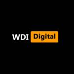 Website Developers India