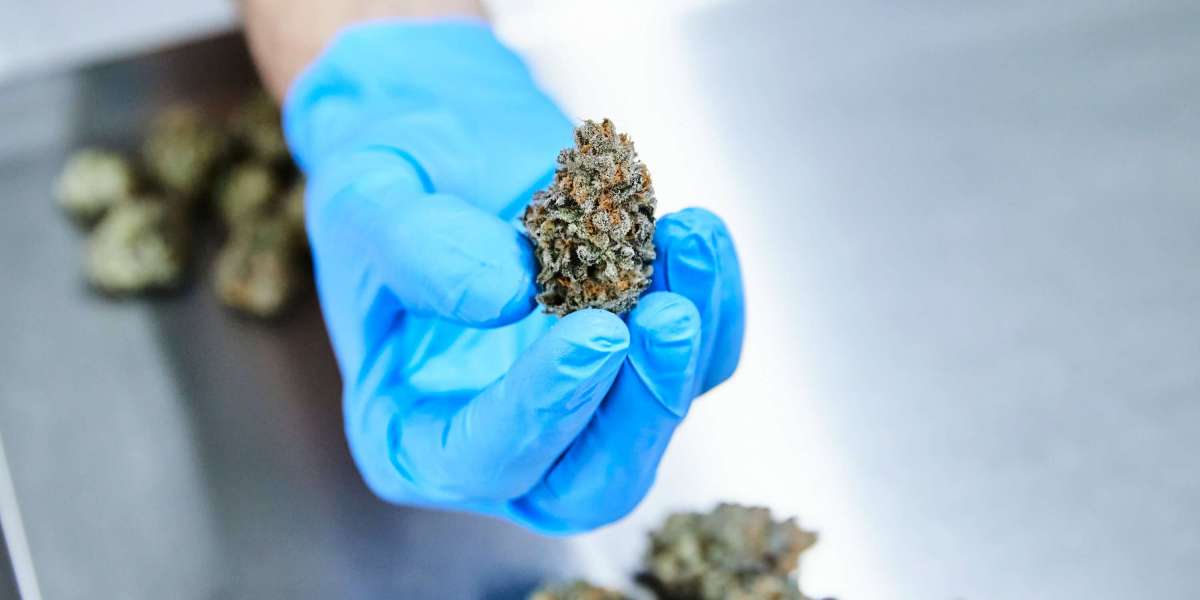 Top Benefits of Using a Medical Marijuana Delivery Service