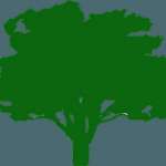 Salas Services