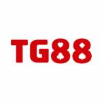 TG88COM BIZ