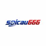 soicau666 cfd