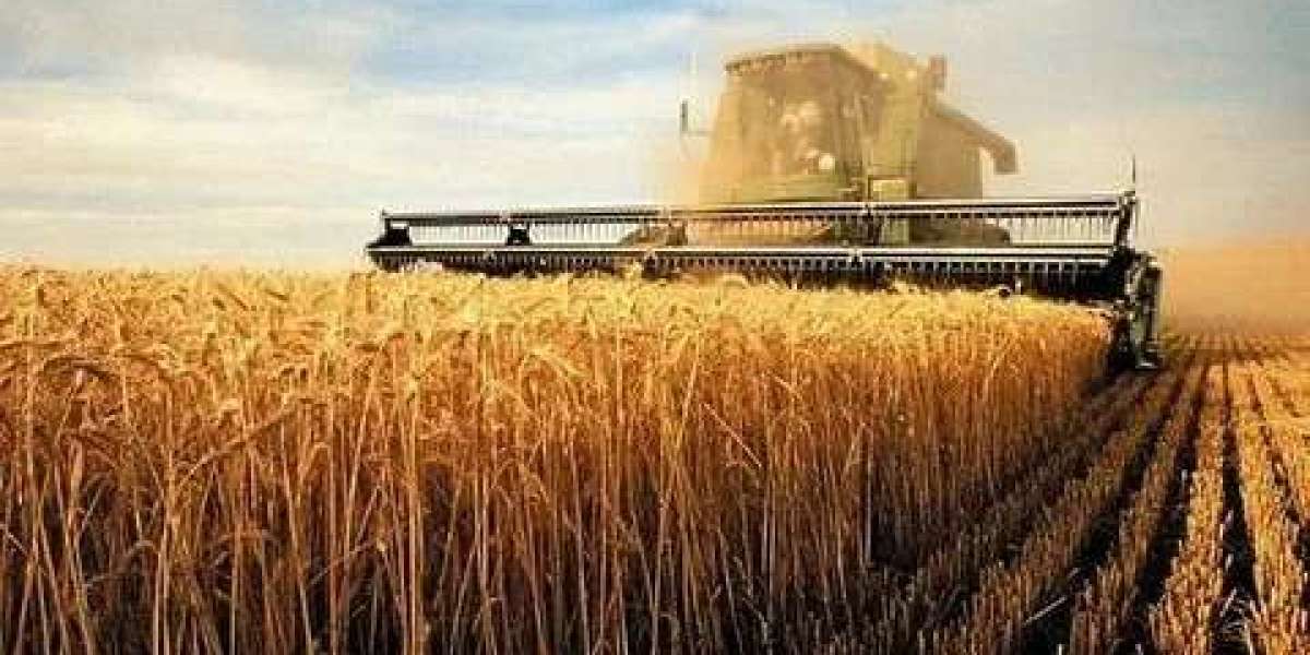 Grain Production Market: Driving Global Food Security, Agricultural Productivity and Sustainable Growth