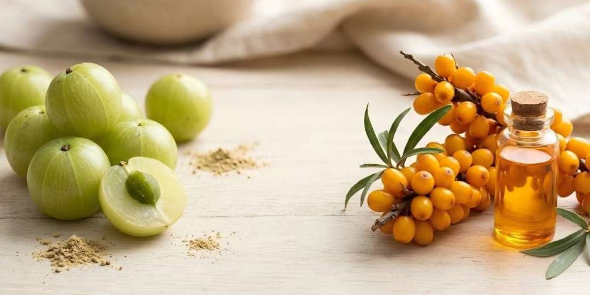 Why Omega-7 Gives Sea Buckthorn the Edge Over Amla