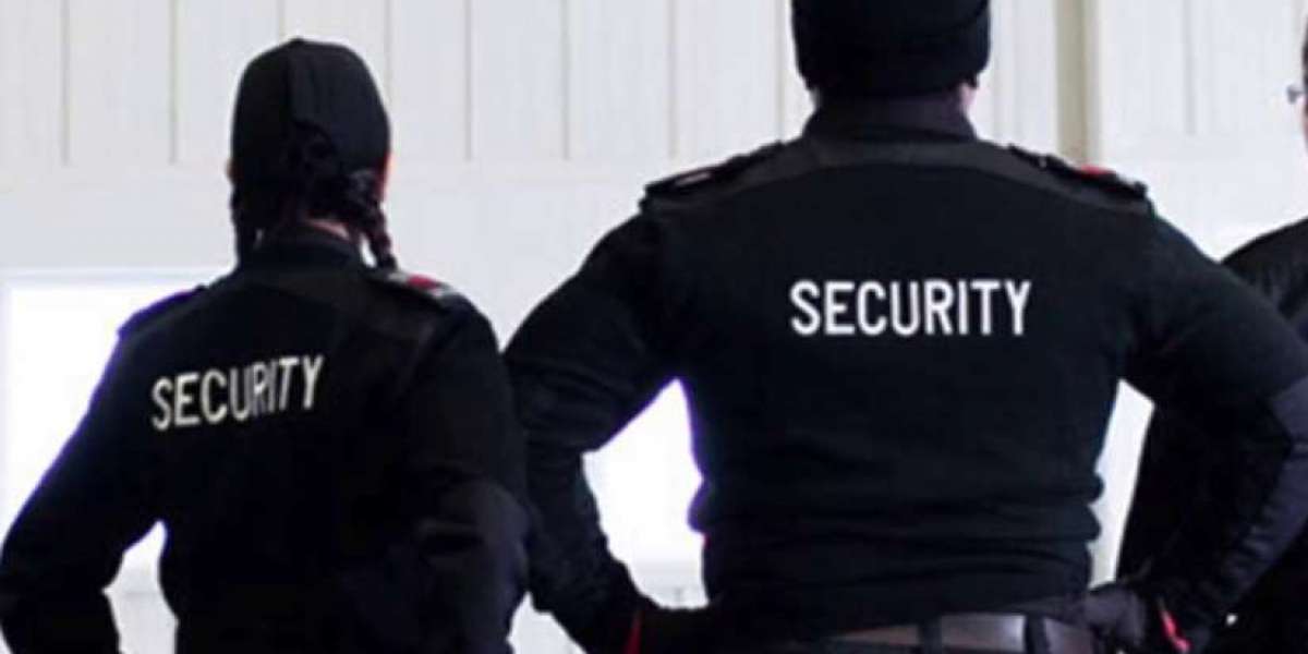 The Value of Security Patrols for Large Facilities