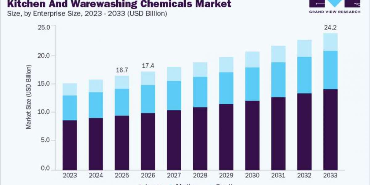 Kitchen and Warewashing Chemicals Market Insights for Investors and Businesses