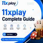 11Xplay sport