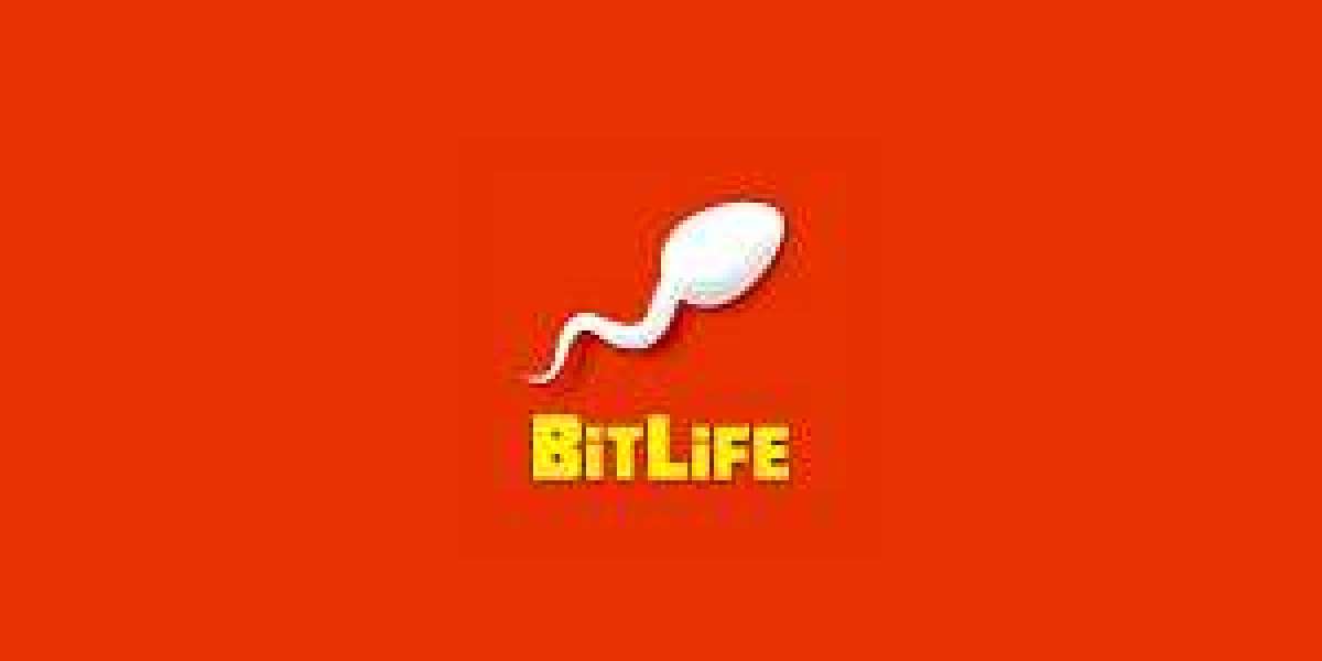 A Pocket-Sized Life of Endless Possibilities