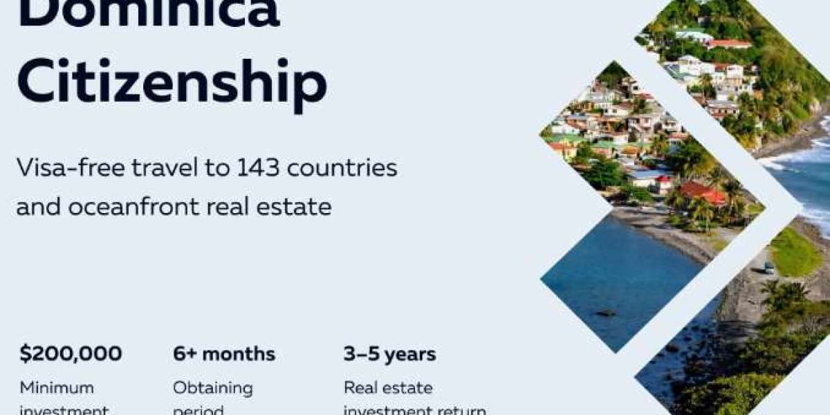 Dominica Citizenship by Investment: Secure Your Second Passport Today
