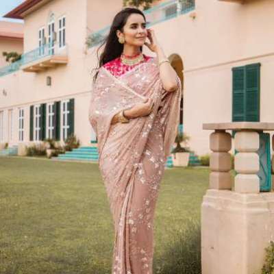 light brown pure chiffon kardana sequins jaal handwork saree Profile Picture