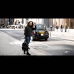 Taxi Geelong