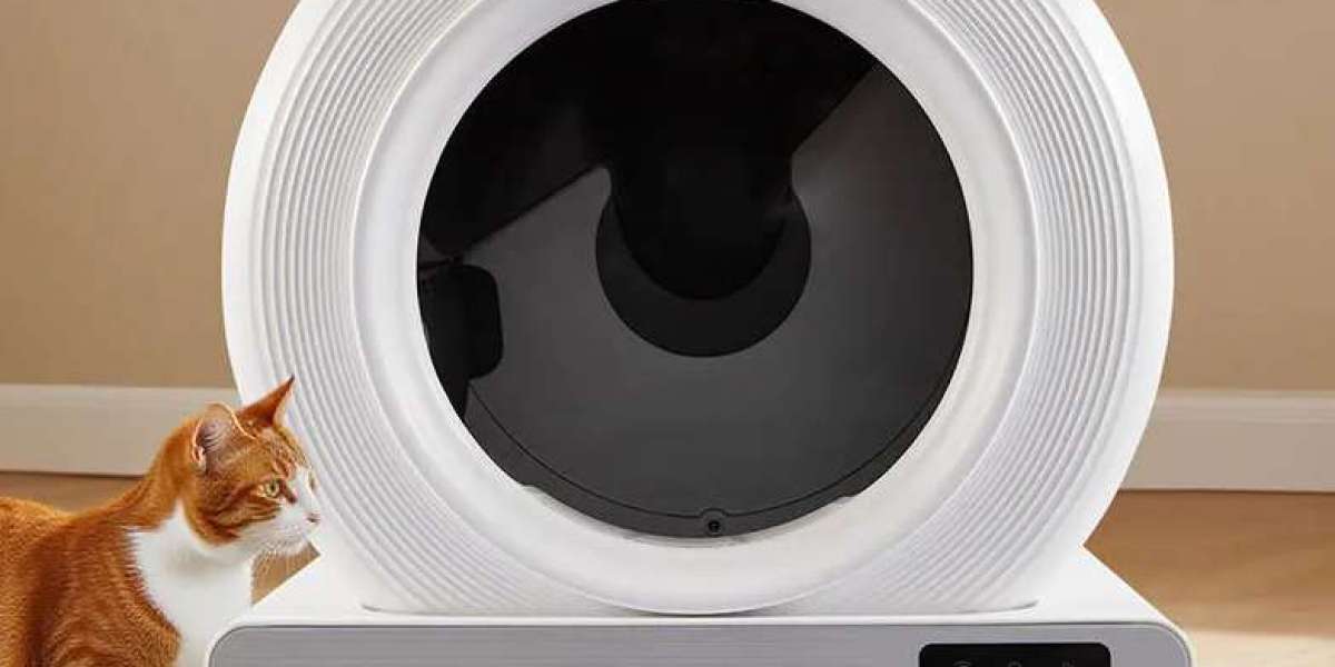 Smart Cleaning Innovation Designed for Pet Wellness