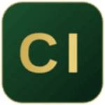 Cognito It Consultancy